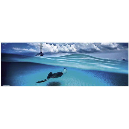Puzzle 1000Pc Panorama Stingray