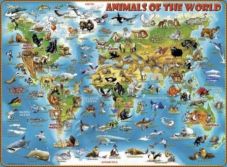 PUZZLE 300PC ANIMALS OF THE WORLD