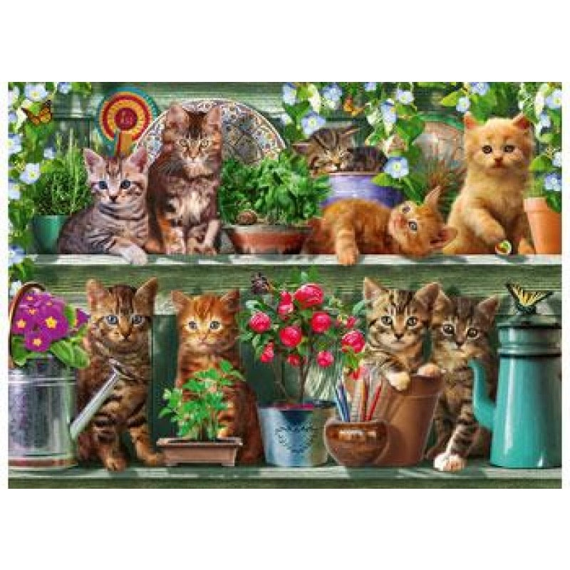 Puzzle 500Pc Cats On The Shelf