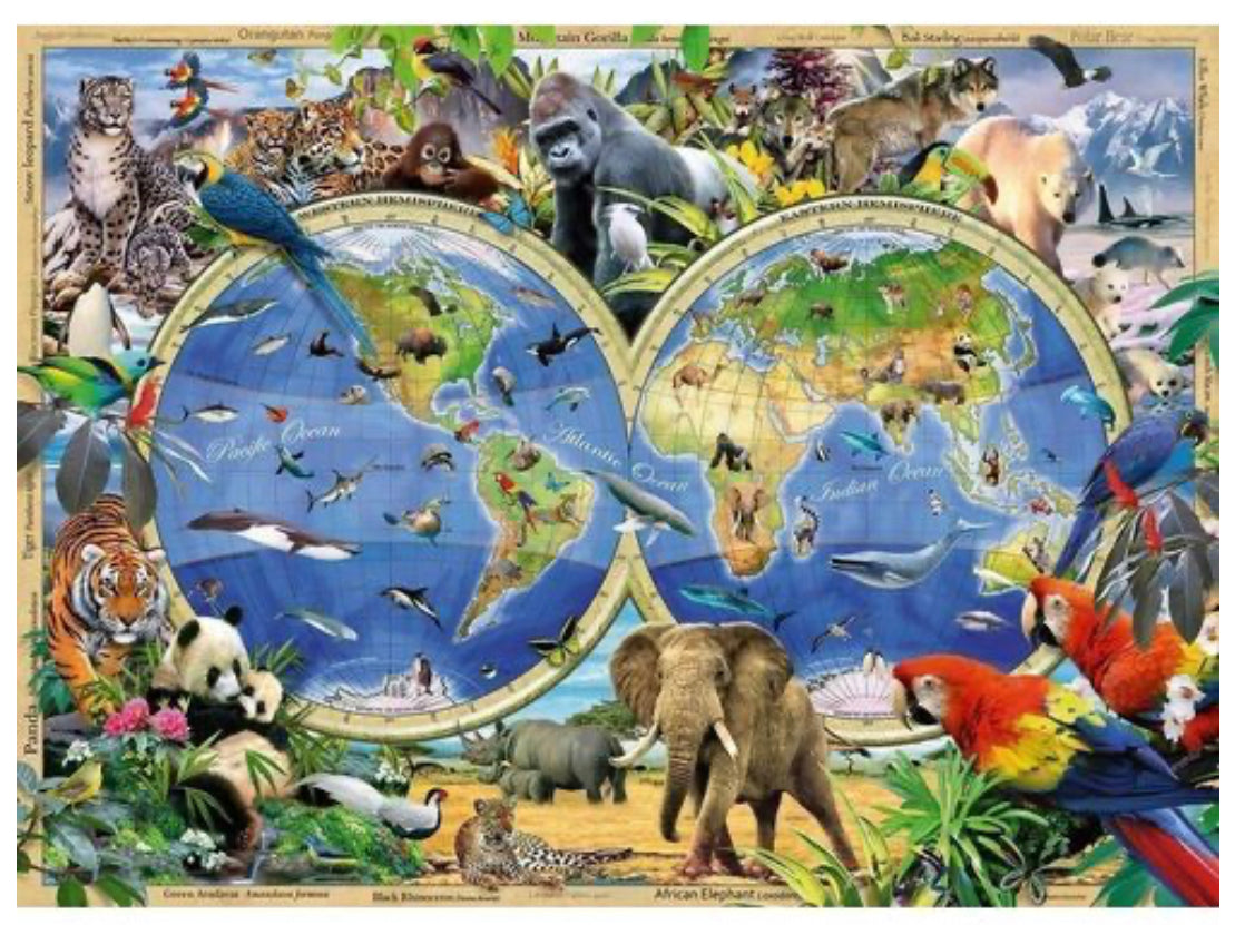 PUZZLE 300PC WORLD OF WILDLIFE