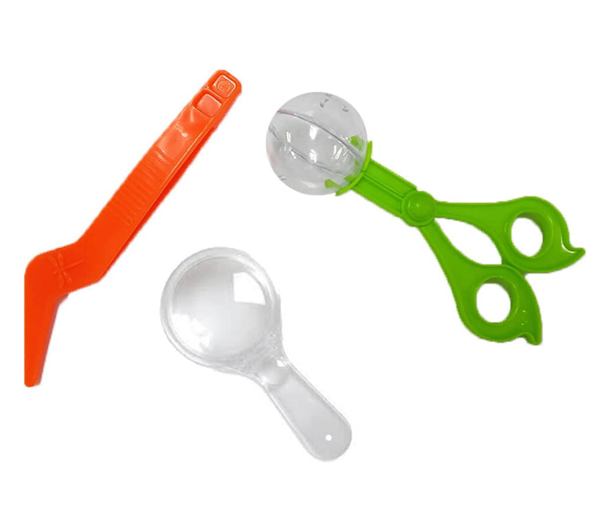 BUG WORLD BUG CATCHING SET