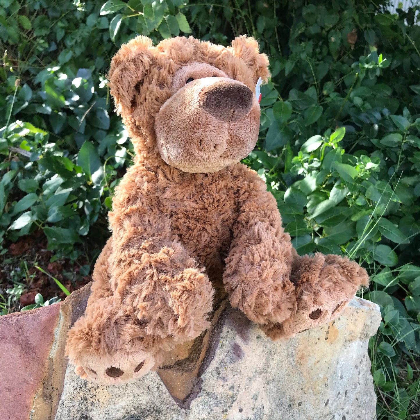 GUND BEAR GRAHN 30.5CM BROWN