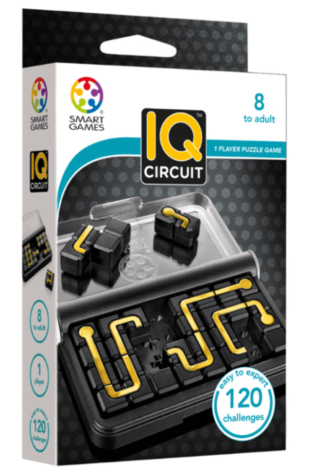 IQ PUZZLE CIRCUIT