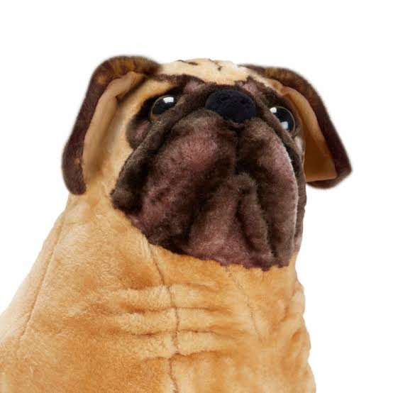 M&D LARGE PLUSH PUG