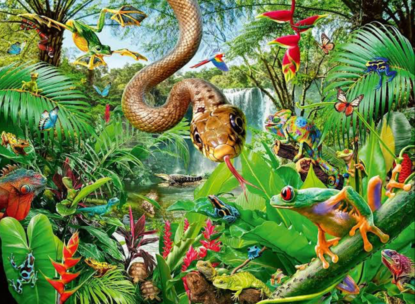 PUZZLE 300PC RETILE RESORT