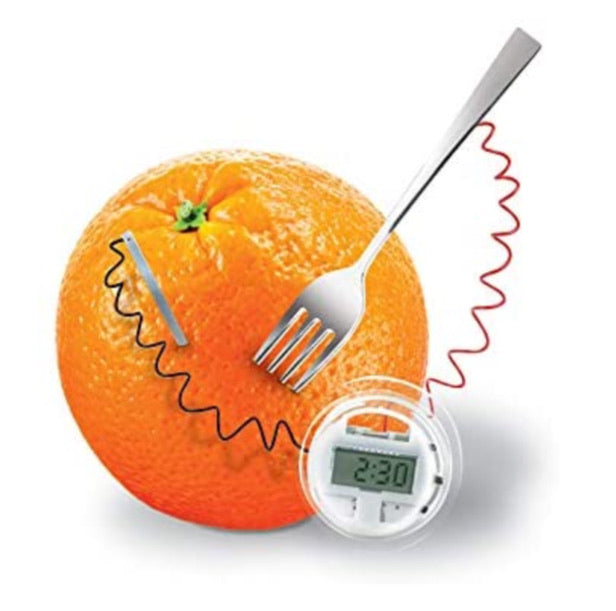 STEAM DELUXE KITCHEN SCIENCE