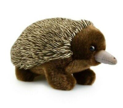 PLUSH LIL FRIEND ECHINDA