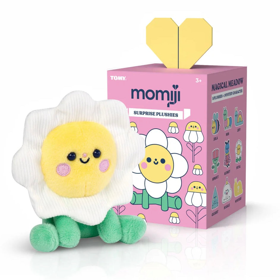 Blind Boxes & Blind Bags