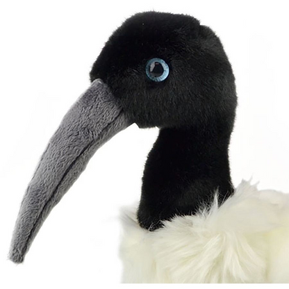 PLUSH LIL FRIEND IBIS 30CM