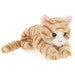 PLUSH KEELECO KITTENS 30CM AST