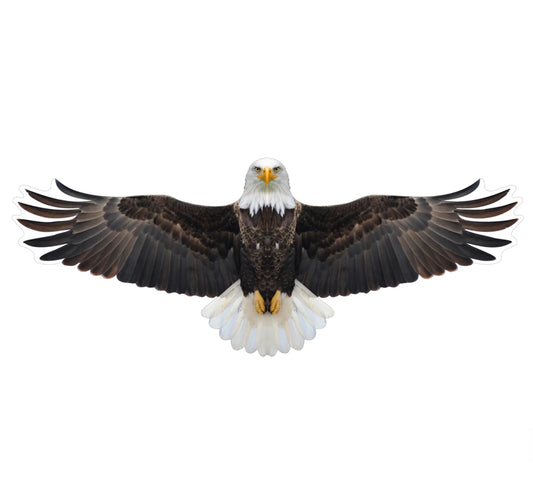 BROOKITE BALD EAGLE FUN KITE