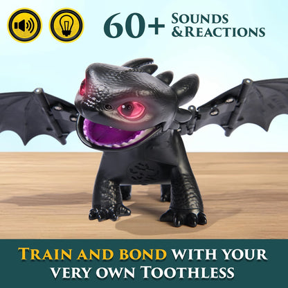 HTTY DRAGON TAME & TRAIN TOOTHLESS