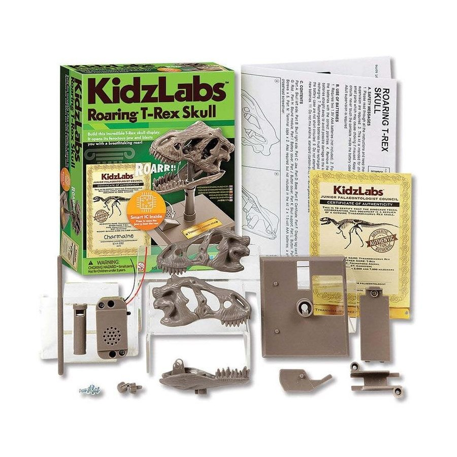 4M KIDZLABS ROARING T-REX SKULL