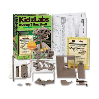4M KIDZLABS ROARING T-REX SKULL