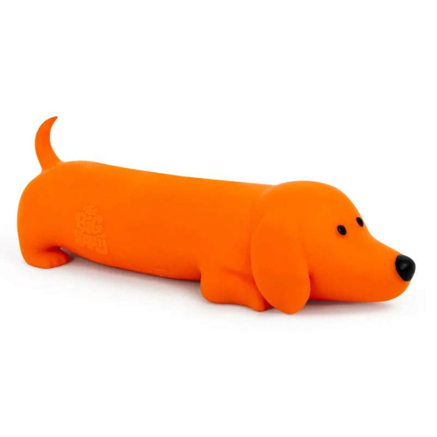 THE BIG SQUIJ DACHSHUND