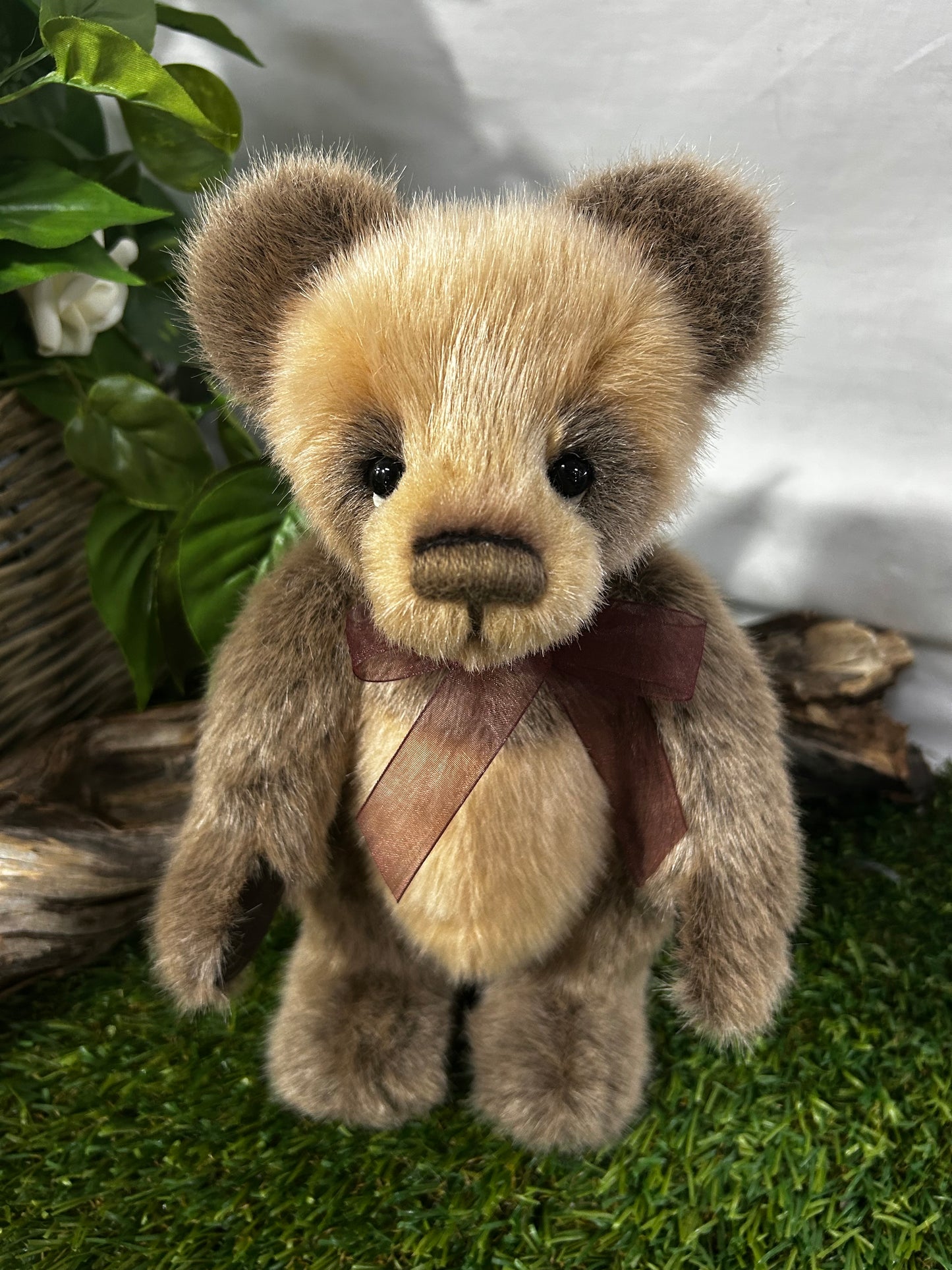 CHARLIE BEARS EXCL SORE PAWS