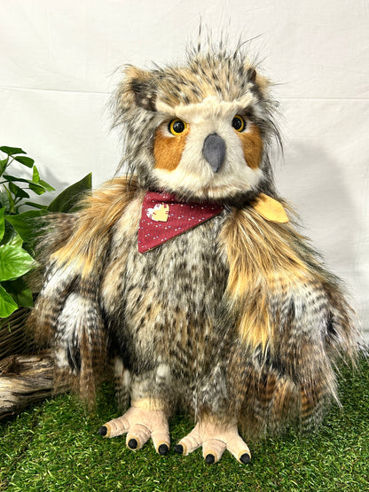 CHARLIE BEAR SCREECH