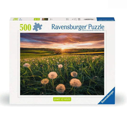 PUZZLE 500PC DANDELIONS AT SUNSET NEW
