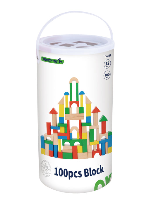 WOODEN BLOCKS 100PC