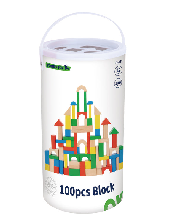 WOODEN BLOCKS 100PC