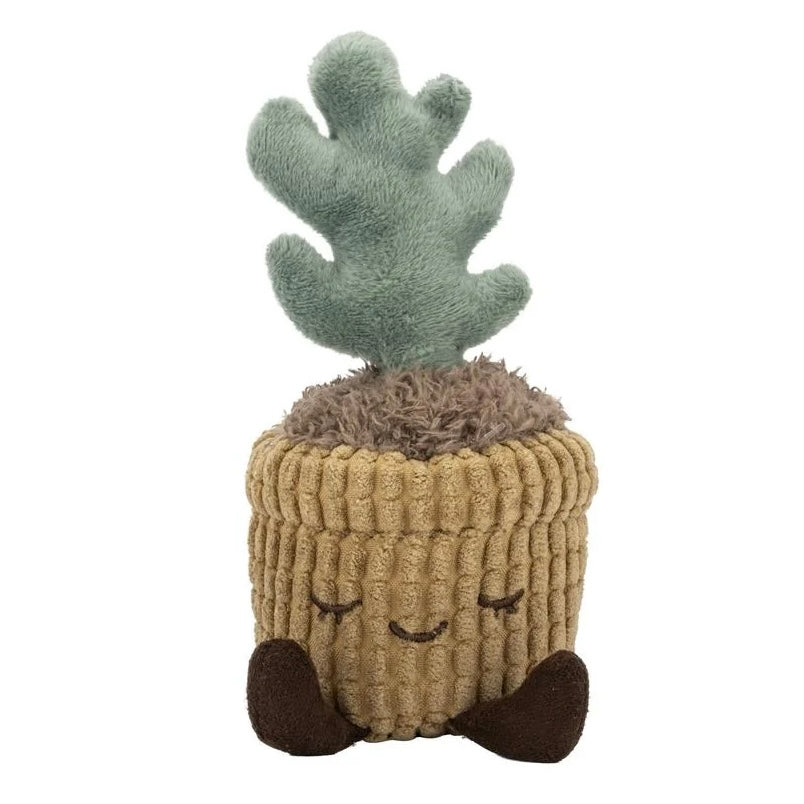 PLUSH RBGH GREENHOUSE RUSS MINI PLANTS
