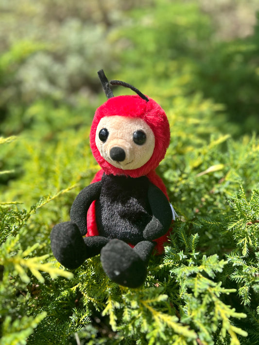 CB BEAR & ME LEAF LADYBIRD ROSE RED