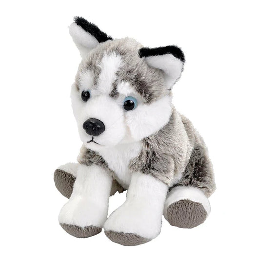 WILD POCKETKINS HUSKY