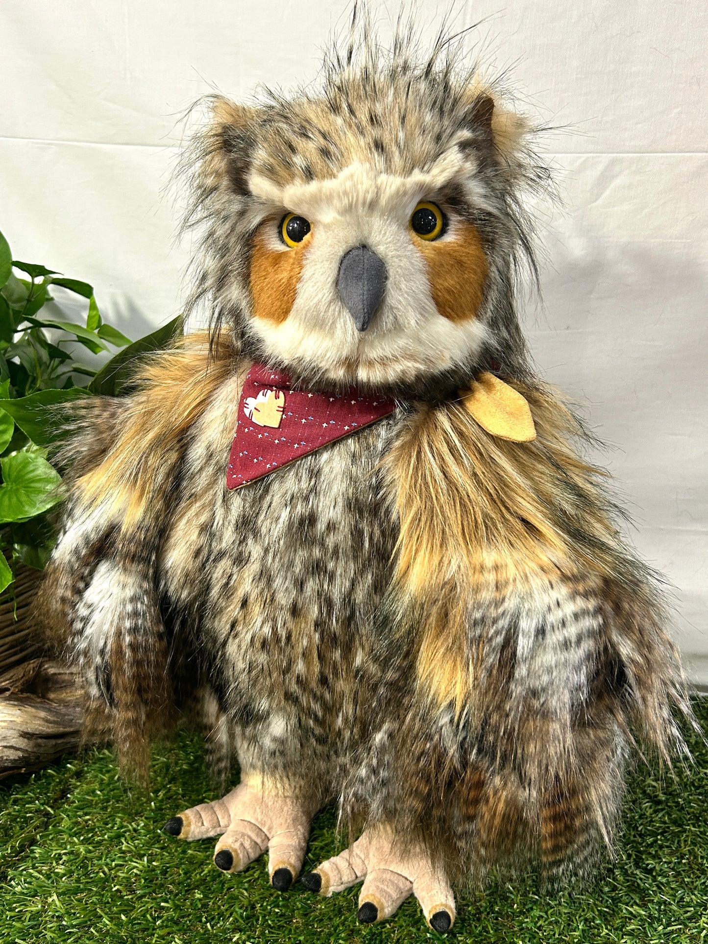 CHARLIE BEAR SCREECH