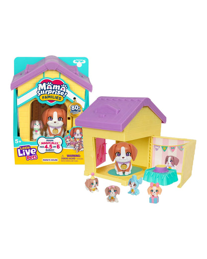 LLP MAMA SURPRISE S1 FAMILY HOUSE AST