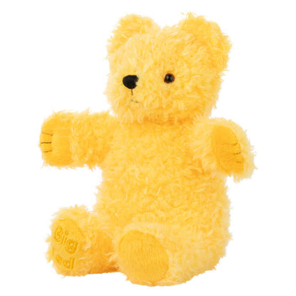 PLAY SCHOOL PLUSH BIG TED 23CM
