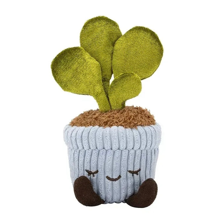 PLUSH RBGH GREENHOUSE RUSS MINI PLANTS