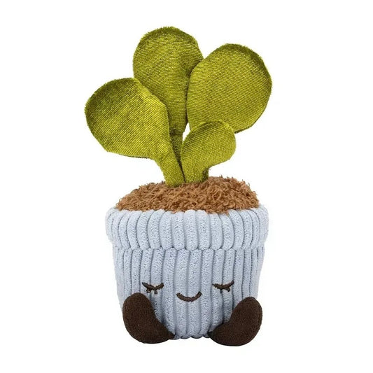 PLUSH RBGH GREENHOUSE RUSS MINI PLANTS
