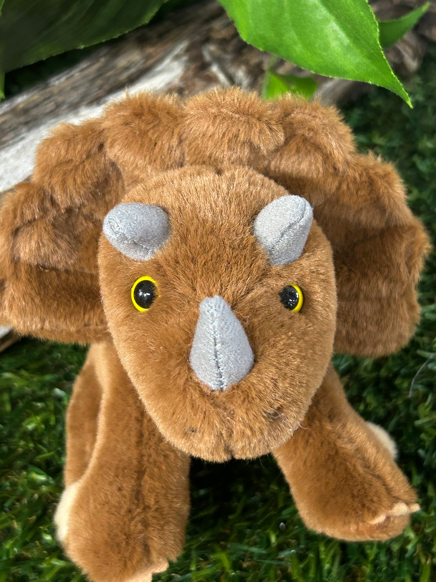 CUDDLE CUB BY CB TRICERATOPS