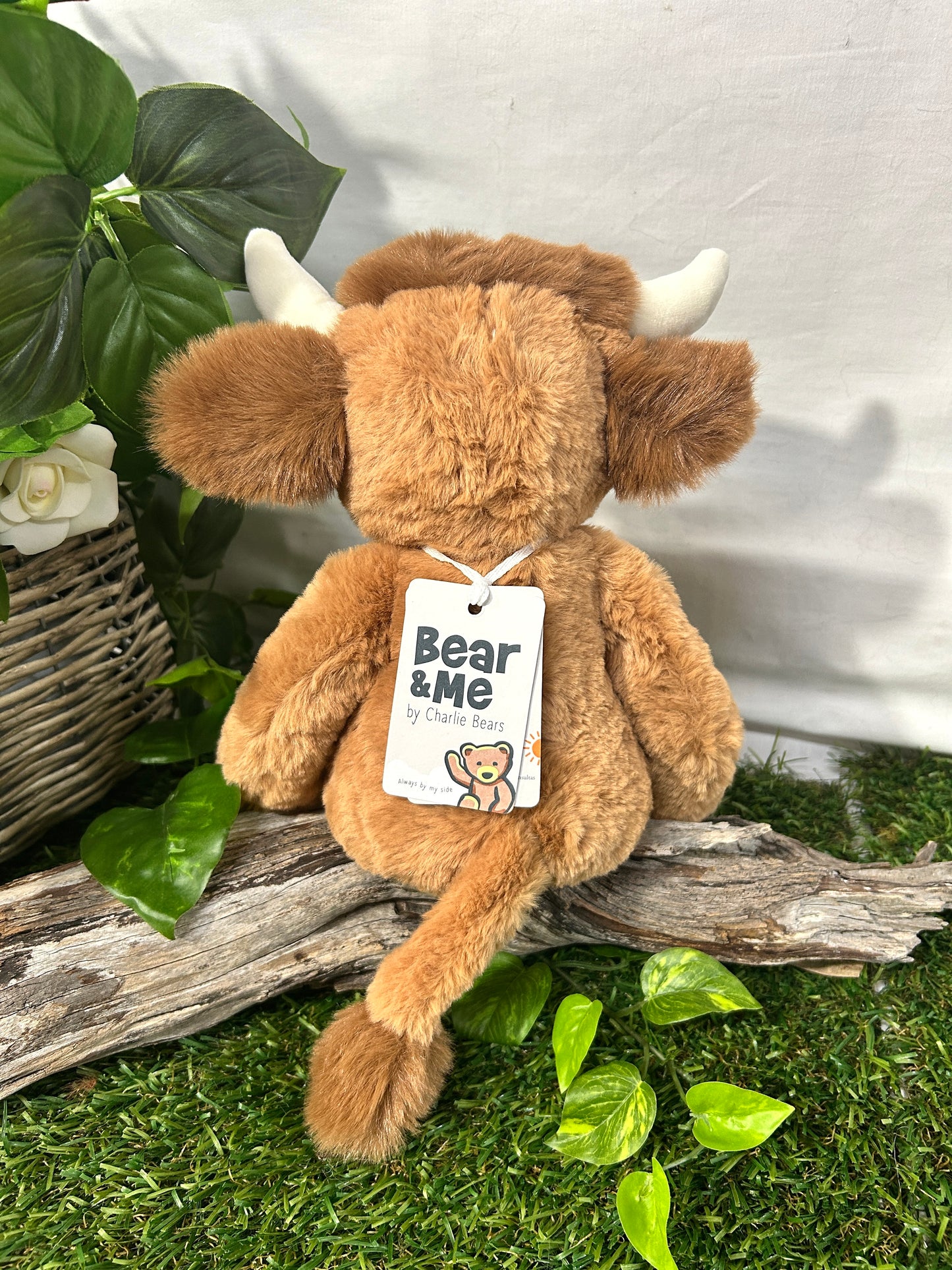 CB BEAR & ME HENRY HIGHLAND COW MED