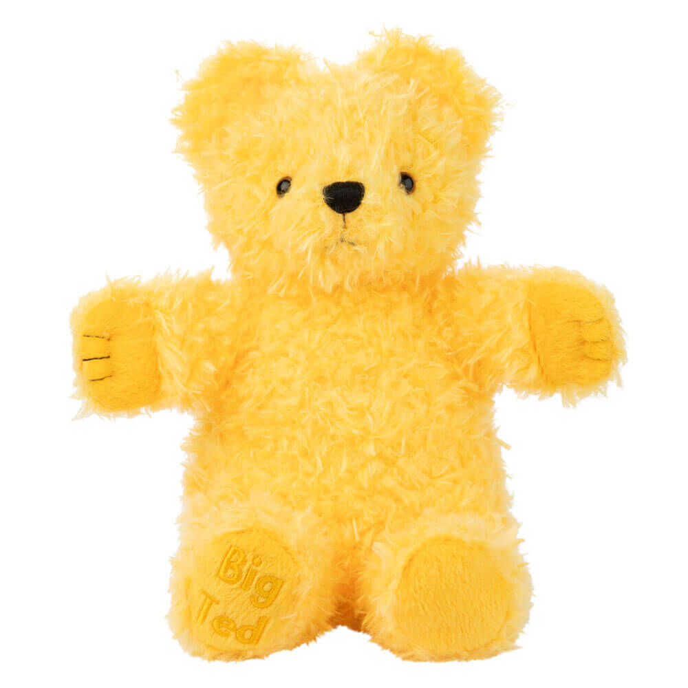 PLAY SCHOOL PLUSH BIG TED 23CM