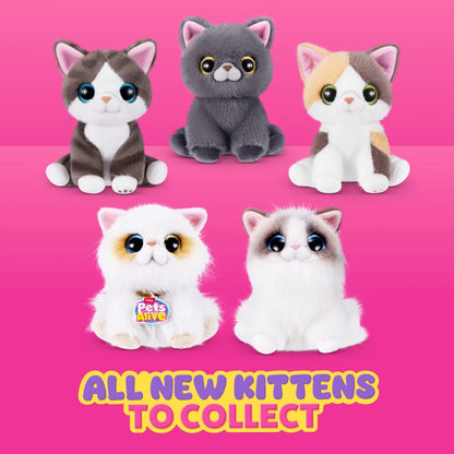 PETS ALIVE SMITTEN KITTENS S2