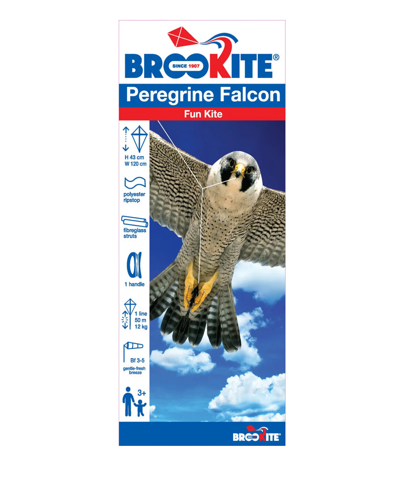 BROOKITE PEREGRIN FALCON