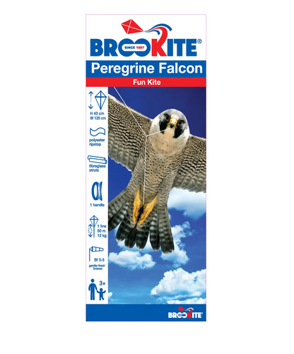 BROOKITE PEREGRIN FALCON