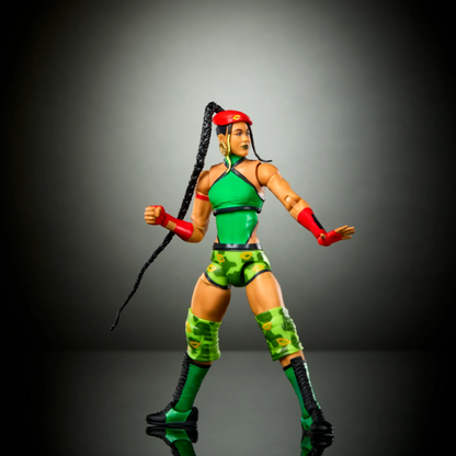 WWE X STREET FIGHTERS AST