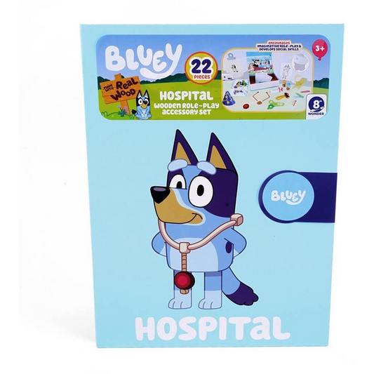 BLUEY ROLE PLAY BOOK  HOSPITAL