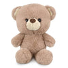 BEAR HUDDY 27CM