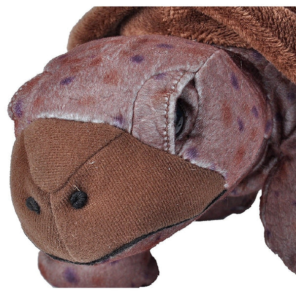 WILD PLUSH CUDDLEKINS TORTOISE