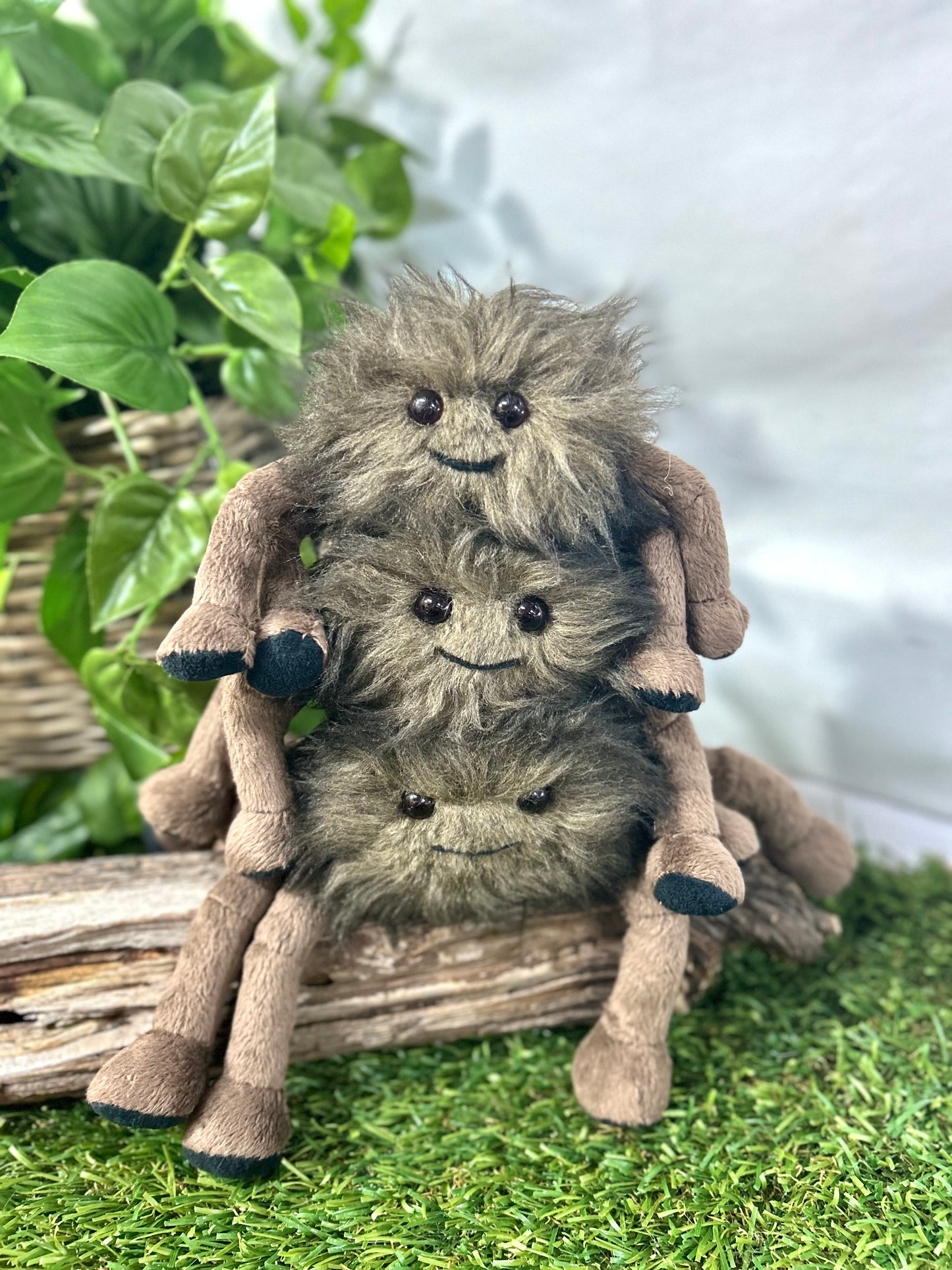 2025 CHARLIE BEARS THE WEBBERS WENDY