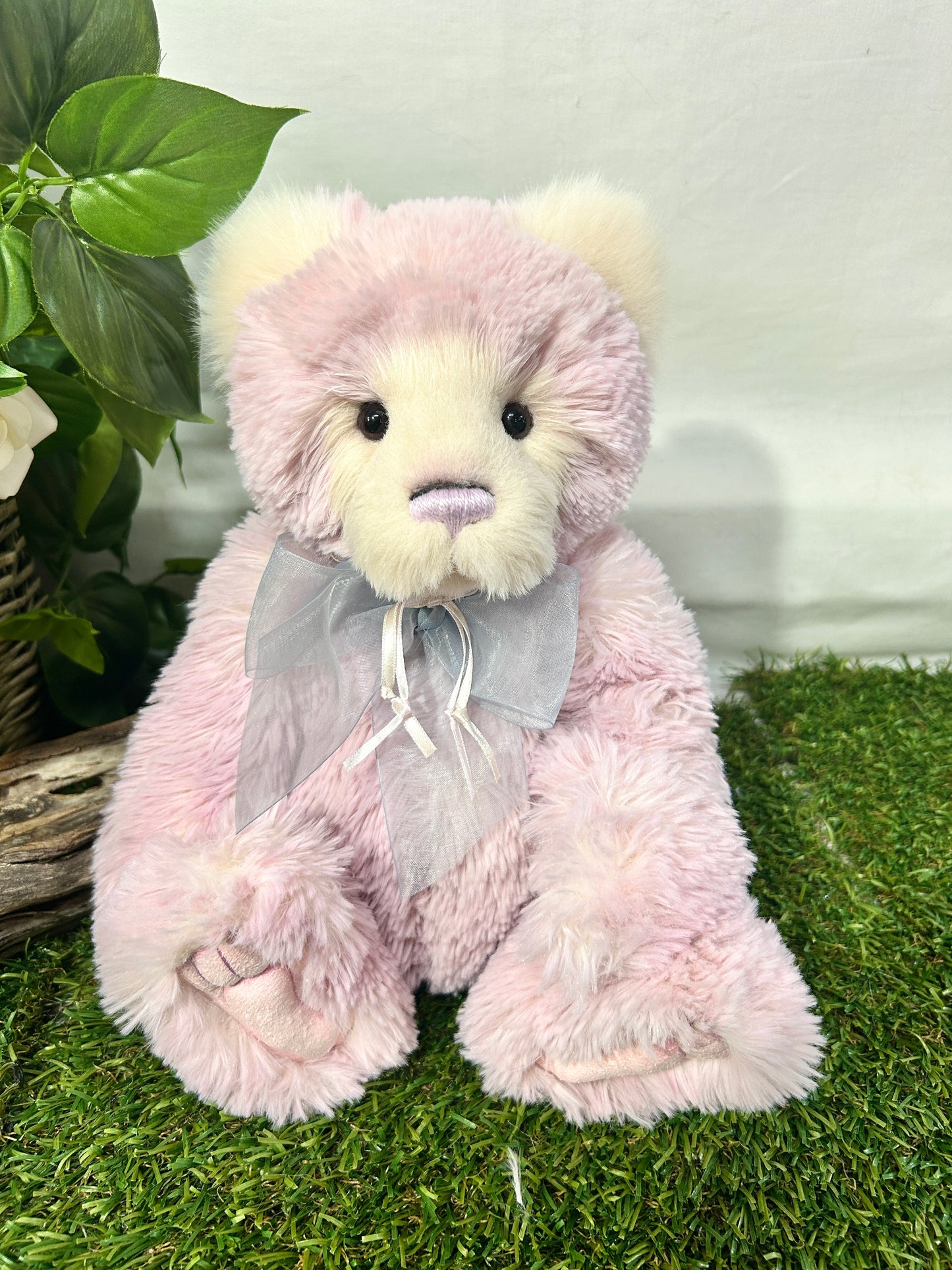 2026 CHARLIE BEAR MAISIE-BELLE