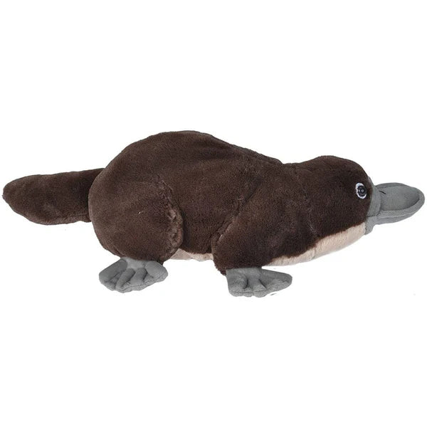 WILD PLUSH PLATYPUS