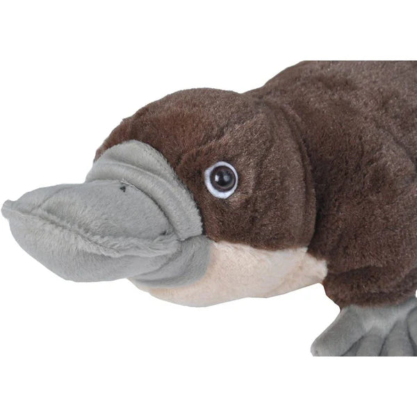 WILD PLUSH PLATYPUS