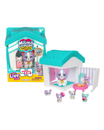 LLP MAMA SURPRISE S1 FAMILY HOUSE AST