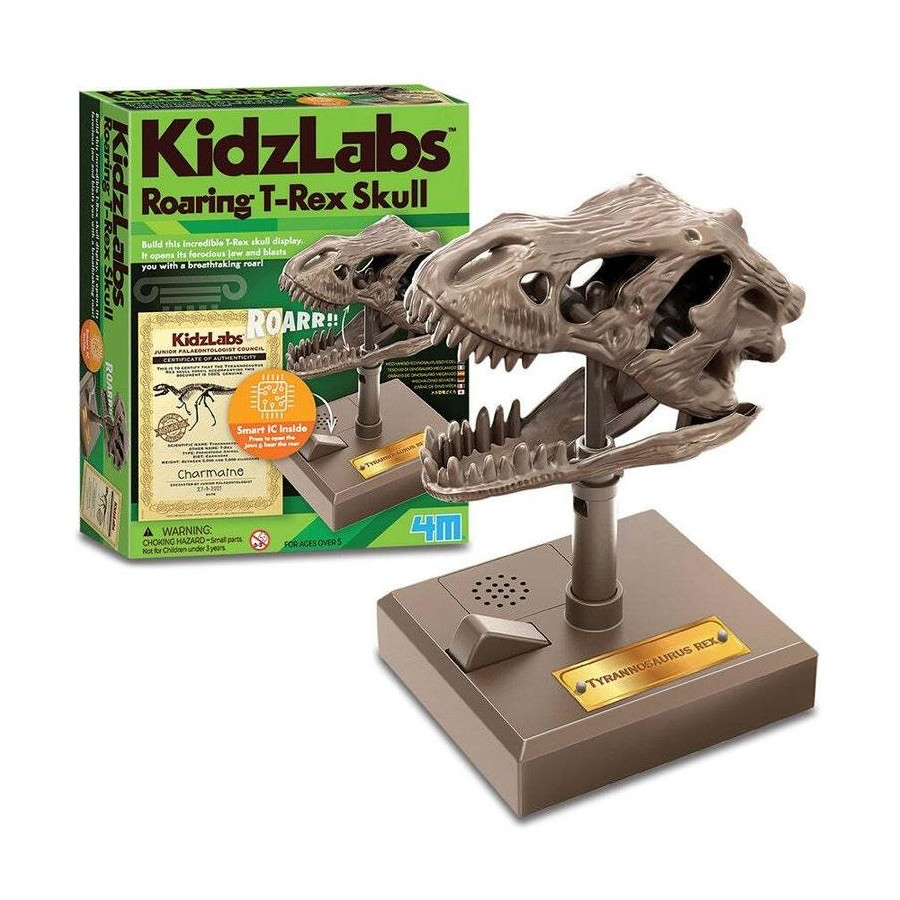 4M KIDZLABS ROARING T-REX SKULL