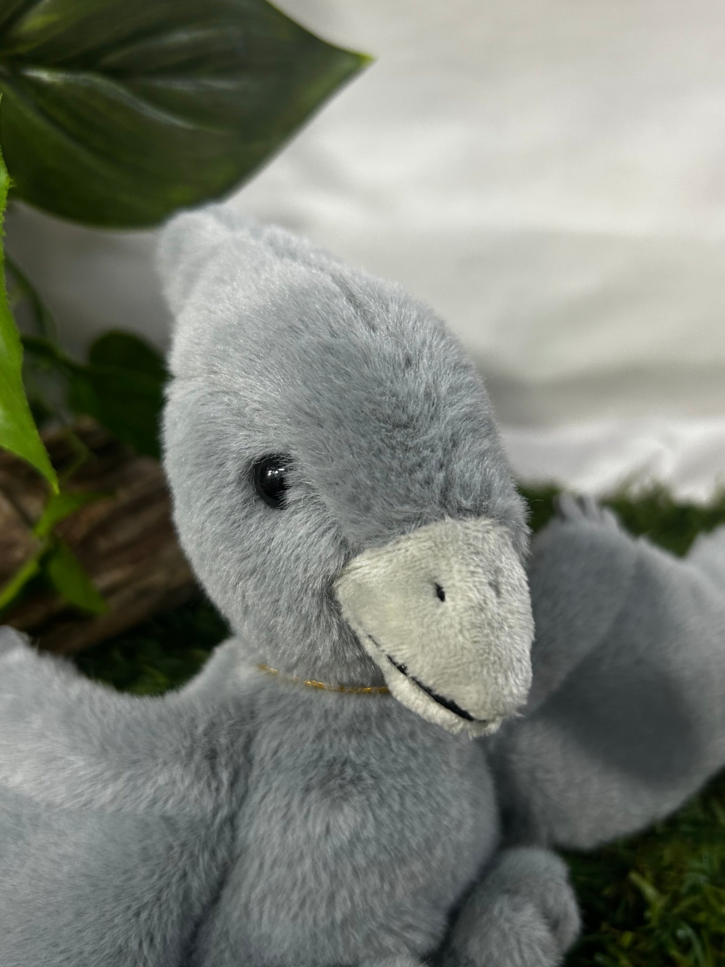 CUDDLE CUB BY CB PTERODACTYL