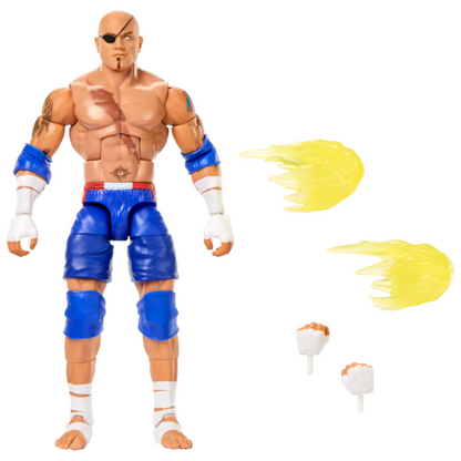 WWE X STREET FIGHTERS AST